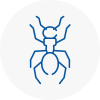 Ant Removals In Stalybridge