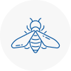 Bee Nest Removal Stalybridge