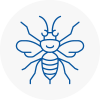 Stalybridge Hornet Nest Removals