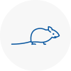 Mice Exterminators In Stalybridge
