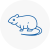 Rat Control Stalybridge