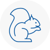 Stalybridge Rodent Removals