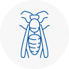 Stalybridge Wasp Nest Removal